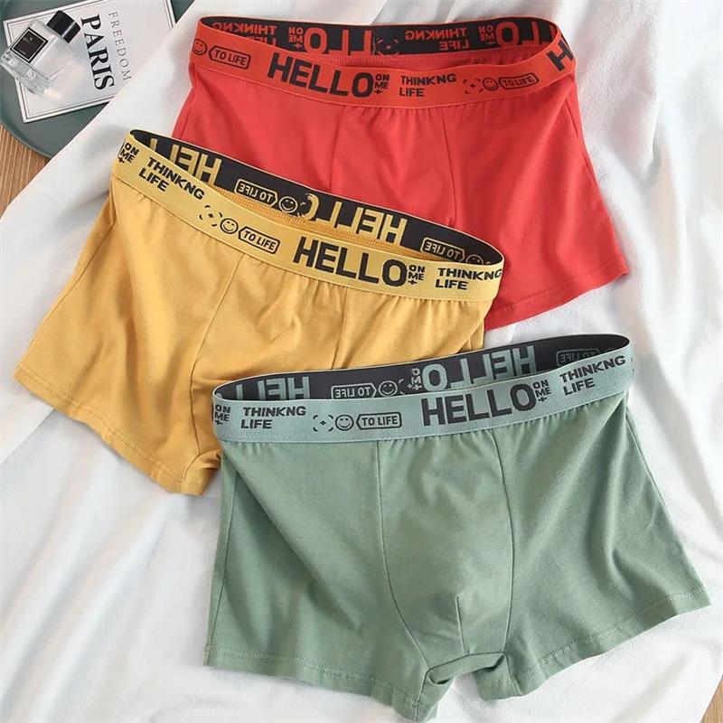 10 peças/roupa interior mascul - Boxer Shorts Modal avaliação e preço